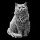 Изображение животных для гравировки на памятник